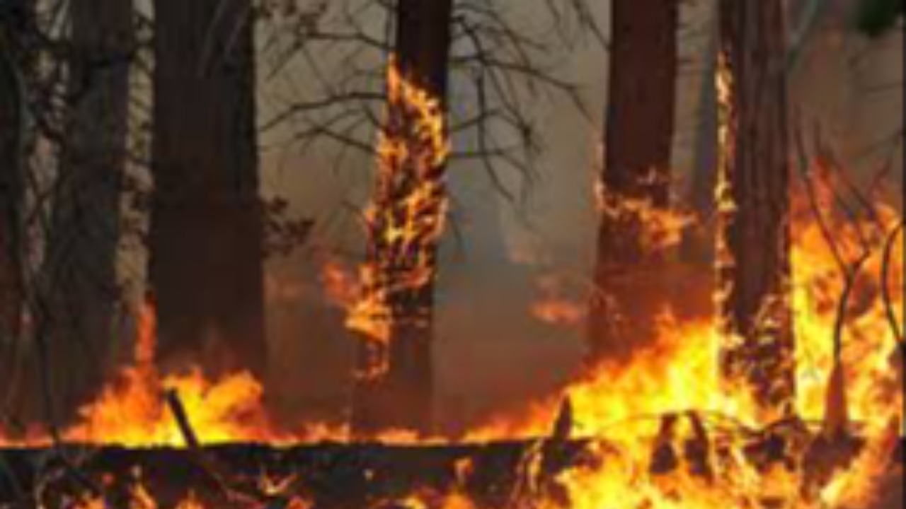 INFORMATION FOR THE PUBLIC